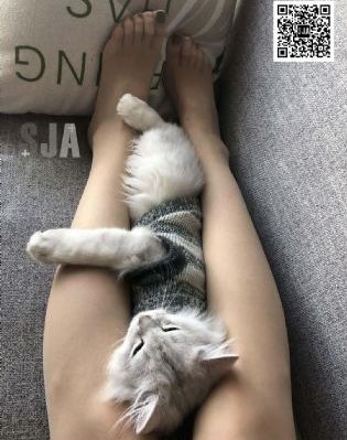 成年人午夜免费福利视频网址_DVDHD在线观看